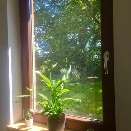 A Peace Harbor Full Of Light In Nature Villa *